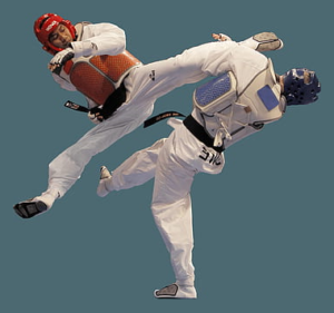 Taekwondo Sports Demonstration